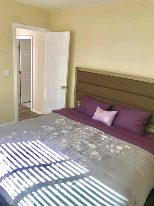 Private Modern Guesthouse With Backyard Λος Άντζελες Εξωτερικό φωτογραφία